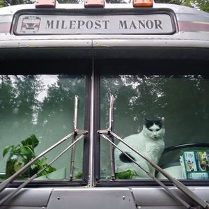 Meet your Posher, Donald